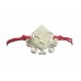 Charm 2021 bracelet